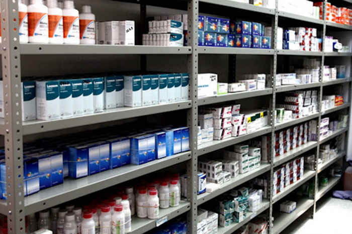 Alebrijes 4 mayo 22 (2)