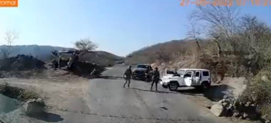 Maullidos 31 mayo 22