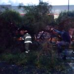 Granizada en Metepec.- El personal del Gobierno Municipal se empleó a fondo para retirar árboles derribados por el vendaval.