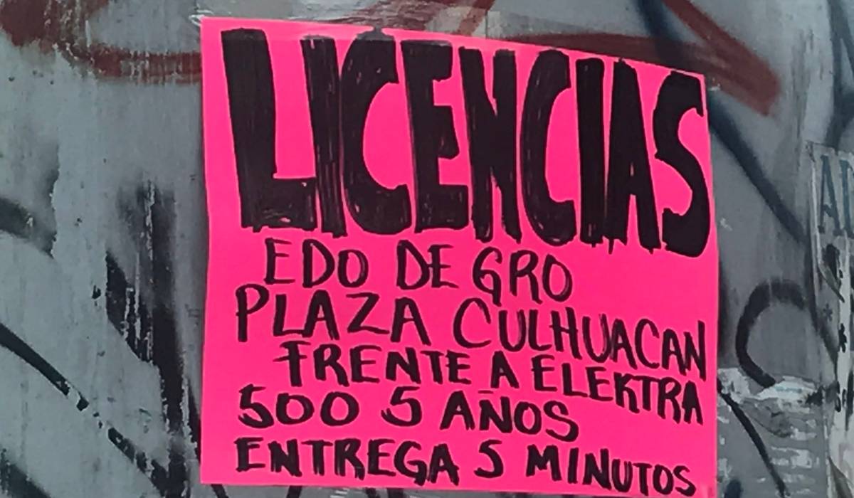 Maullidos 28 julio 22