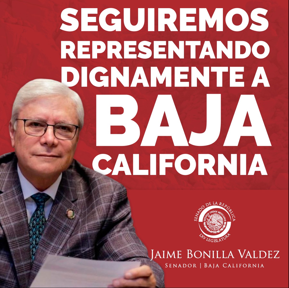 Maullidos 11 agosto 22