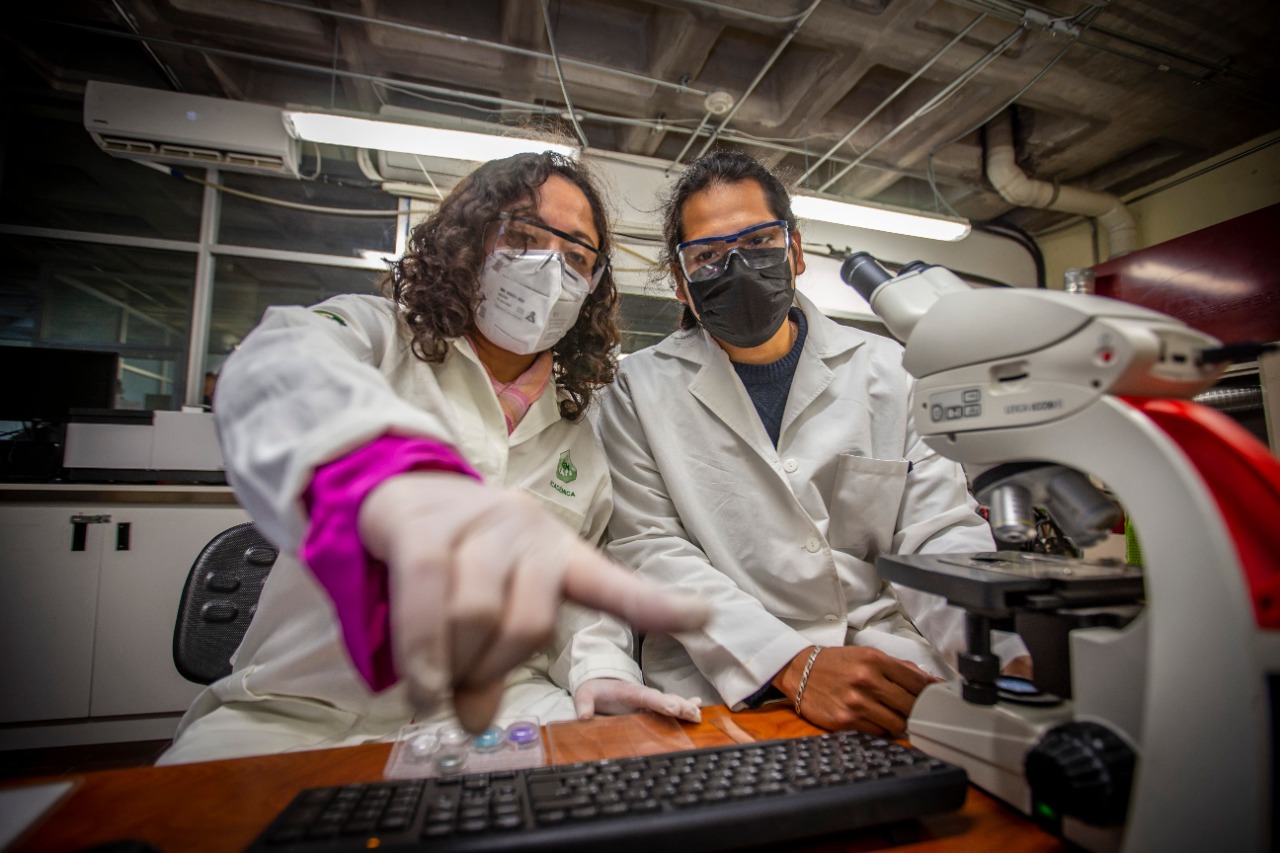 María Fernanda Ballesteros Rivas al frente de un equipo de investigadores desarrolla nueva forma de reciclar el unicel
