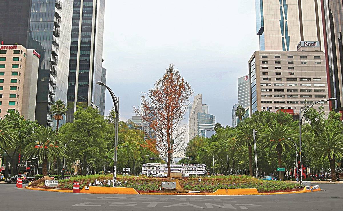 Maullidos Urbanos / Inutilidad de las encuestas