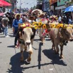 Paseo de la Agricultura 2023, los productores salen con sus yuntas y herramientas para la agricultura