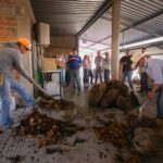 Investigación de la UAEMéx sobre elaboración del Mezcal en el Estado de México 269, foto 5