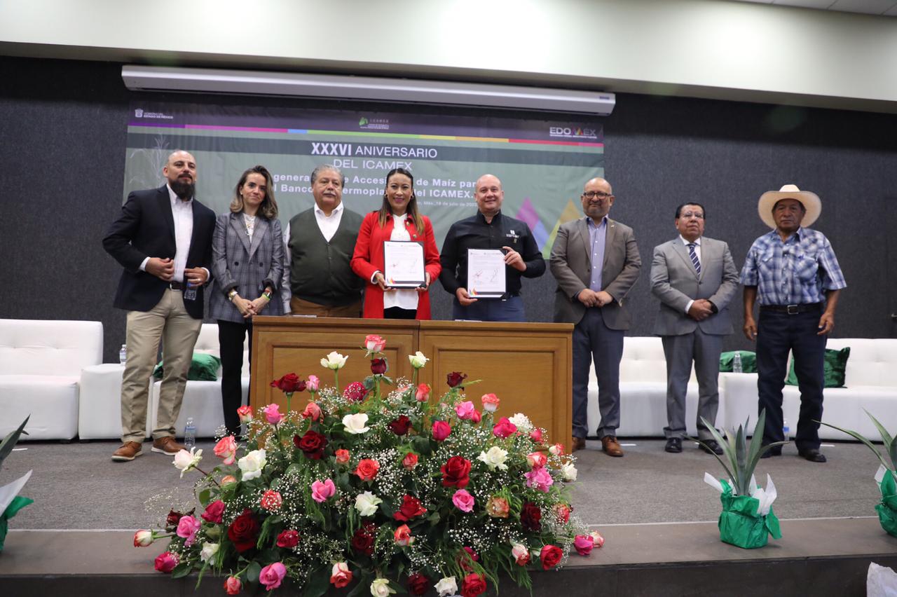 FIRMAN ICAMEX Y CIMMYT CONVENIO PARA IMPULSAR LA REGENERACIÓN DE MAÍCES EN LOS VALLES ALTOS DEL EDOMÉX