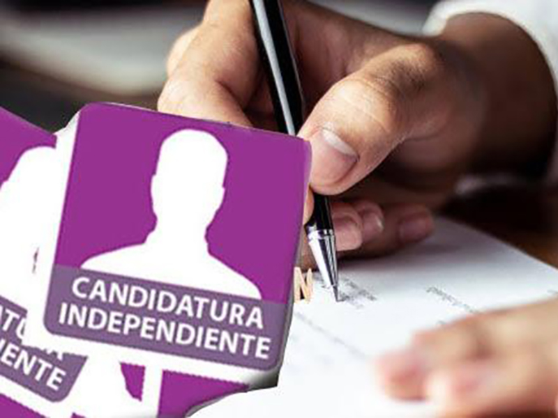 Alebrijes 2 enero 24, candidaturas independientes