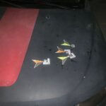 Atentado contra el Fisal General 1