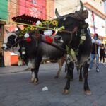 Paseo de la Agricultura en Metepec, Méx.