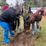 Ciudadanos reforestación.