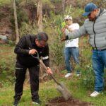 Reforestación 1. Metepec