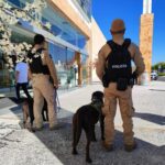 Los binomios de policías con caninos, otro elemento que fortalece el papel de la municipal de Metepec.