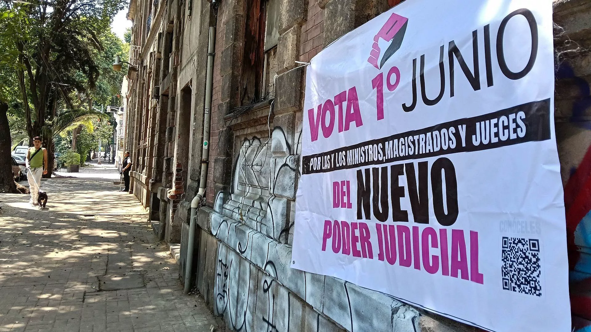 Confirma encuesta desinterés en elecciones judiciales / Maullidos Urbanos