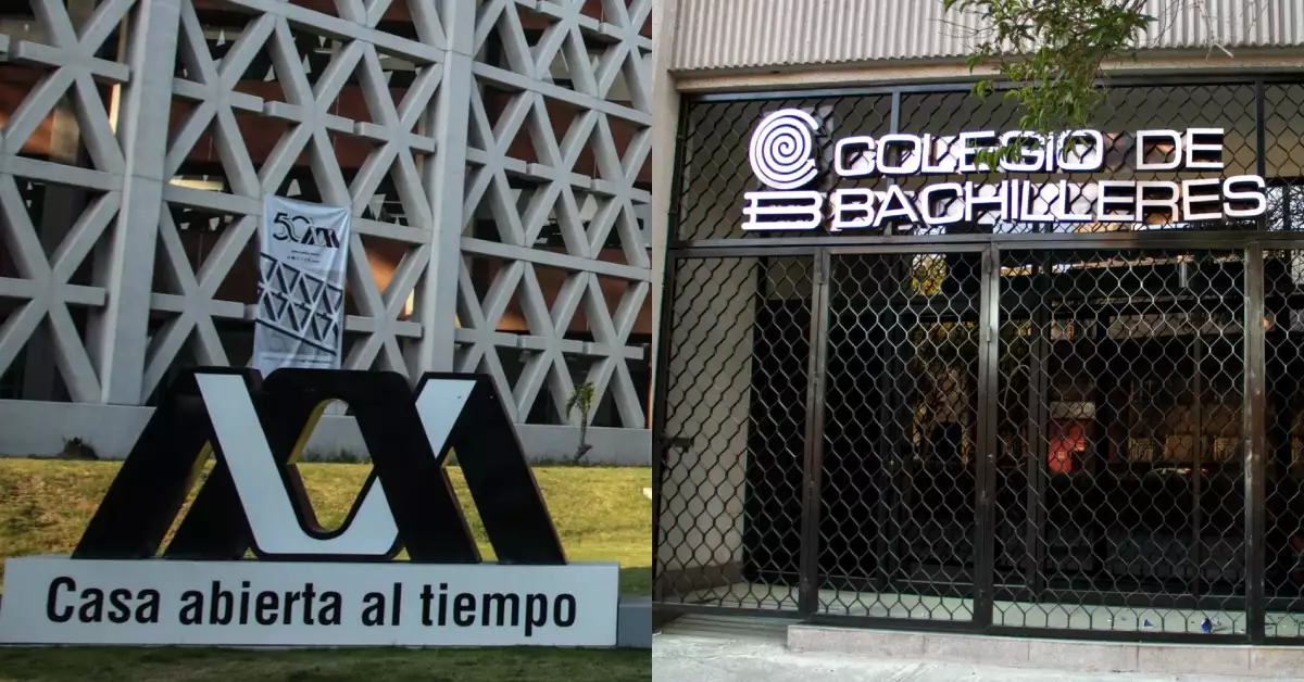 Buenas noticias para egresados de Bachilleres / Maullidos Urbanos