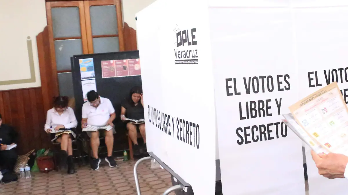 Elecciones concurrentes en Veracruz y Durango /  Maullidos Urbanos