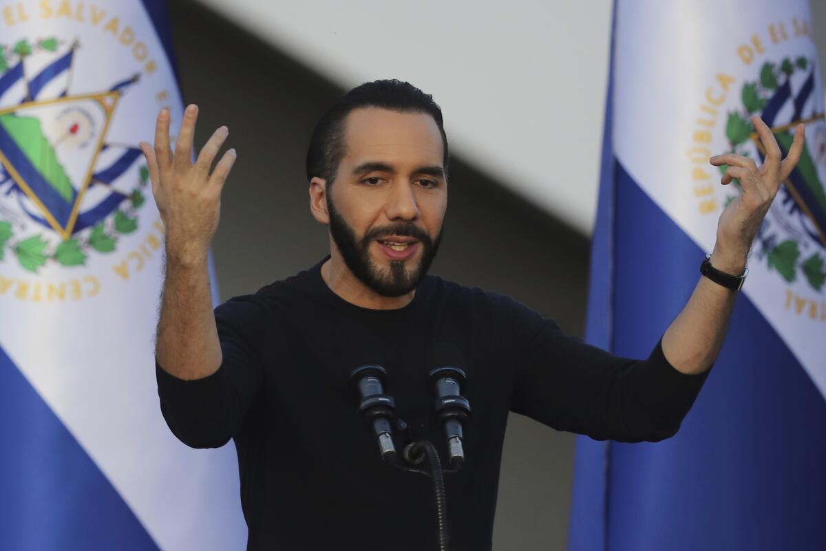 Cambio político en El Salvador / Maullidos Urbanos