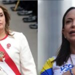 Maullidos Urbanos: Opiniones contrastantes