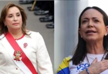 Maullidos Urbanos: Opiniones contrastantes