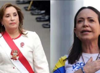 Maullidos Urbanos: Opiniones contrastantes de Claudia Sheinbaum