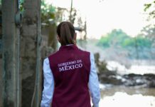 Maullidos Urbanos / Contradicción de Sheinbaum