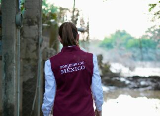 Maullidos Urbanos / Contradicción de Sheinbaum