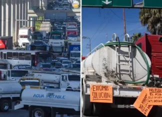 Buenas intenciones, pero fallidas / Maullidos Urbanos