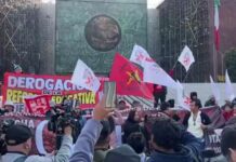 DemandMagisteriales / Alebrijes en Cuadratines