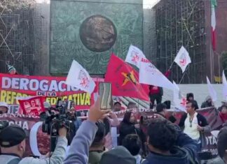 DemandMagisteriales / Alebrijes en Cuadratines