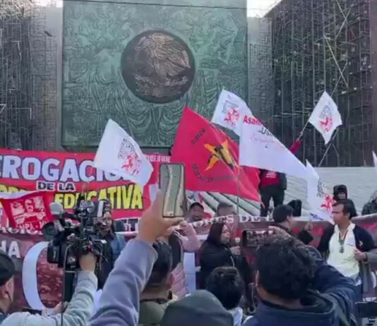 DemandMagisteriales / Alebrijes en Cuadratines