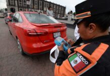 Nuevo reglamento de tránsito / Maullidos Urbanos