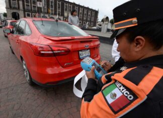 Nuevo reglamento de tránsito / Maullidos Urbanos