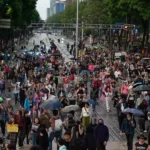 Inconformidad social en las calles / Maullidos Urbanos