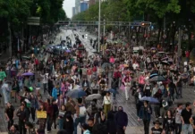 Inconformidad social en las calles / Maullidos Urbanos