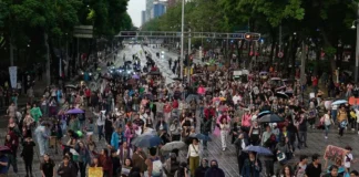 Inconformidad social en las calles / Maullidos Urbanos