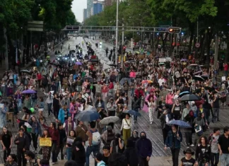 Inconformidad social en las calles / Maullidos Urbanos