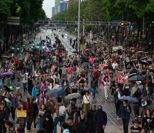 Inconformidad social en las calles / Maullidos Urbanos