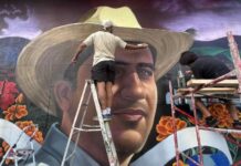 Proyecto de nuevo partido / Maullidos Urbanos