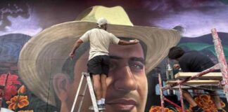 Proyecto de nuevo partido / Maullidos Urbanos