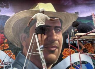 Proyecto de nuevo partido / Maullidos Urbanos