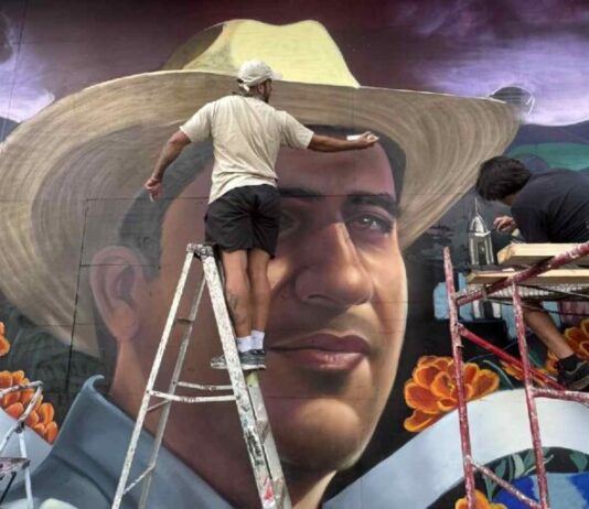 Proyecto de nuevo partido / Maullidos Urbanos