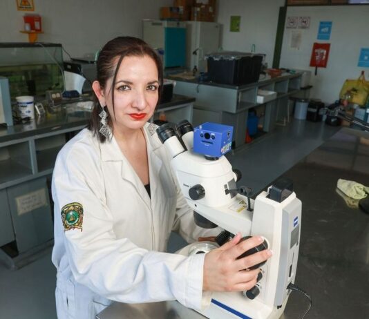 🟢🟡 Científica de la UAEMéx ganó Premio Mujeres en Ciencias Biológicas y de la Salud: Matilde Montoya 2025