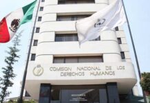 Ineficacia de la CNDH / Maullidos Urbanos