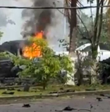 Eventos contrastantes: Celebración de Morena y bombazo en Coahuayana / Maullidos Urbanos