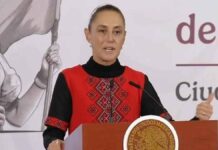 La «reforma electoral» de Sheinbaum golpea a sus aliados / Maullidos Urbanos