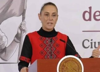 La «reforma electoral» de Sheinbaum golpea a sus aliados / Maullidos Urbanos