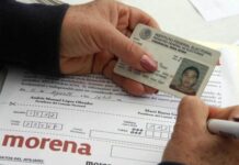 Contra la ley, Persiste la afiliación partidista corporativa / Maullidos Urbanos