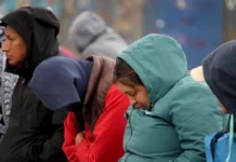 Secuelas por el frío / Maullidos Urbanos