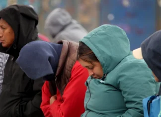 Secuelas por el frío / Maullidos Urbanos