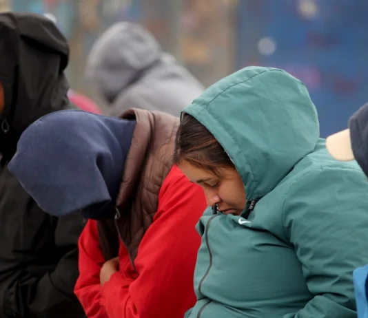 Secuelas por el frío / Maullidos Urbanos