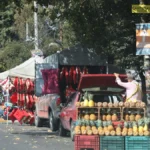 Necesario mayor orden urbano / Maullidos Urbanos